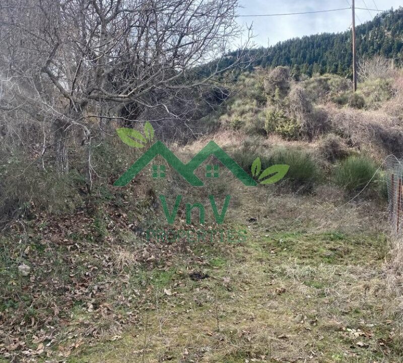 Μονοκατοικία 92τμ με απεριόριστη θέα στην Καλοσκοπή Φωκίδας