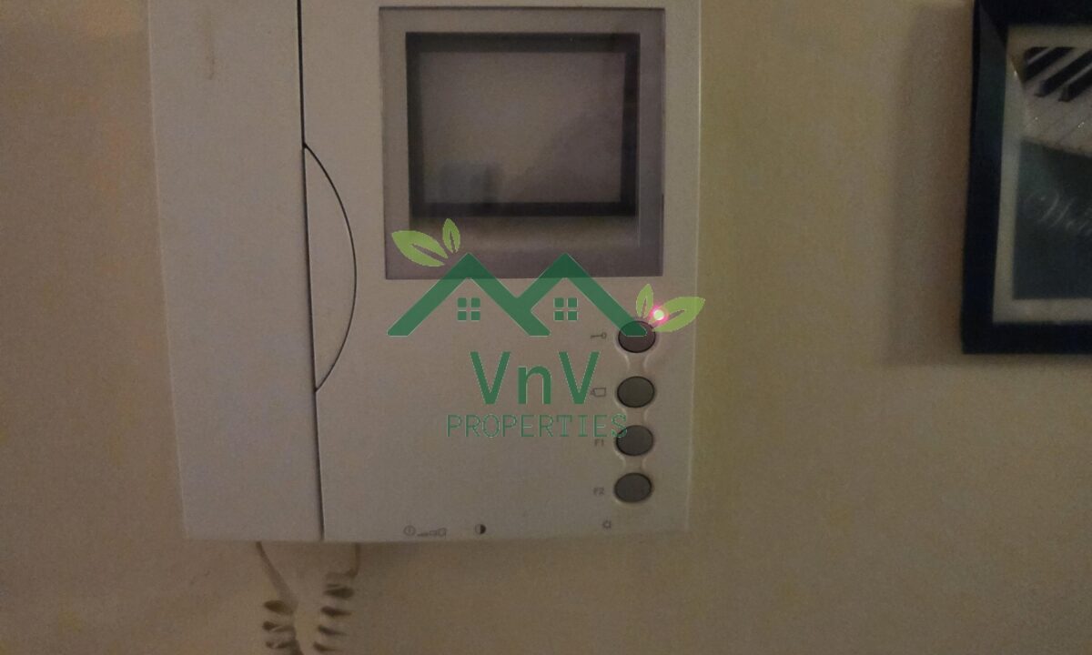 V304821