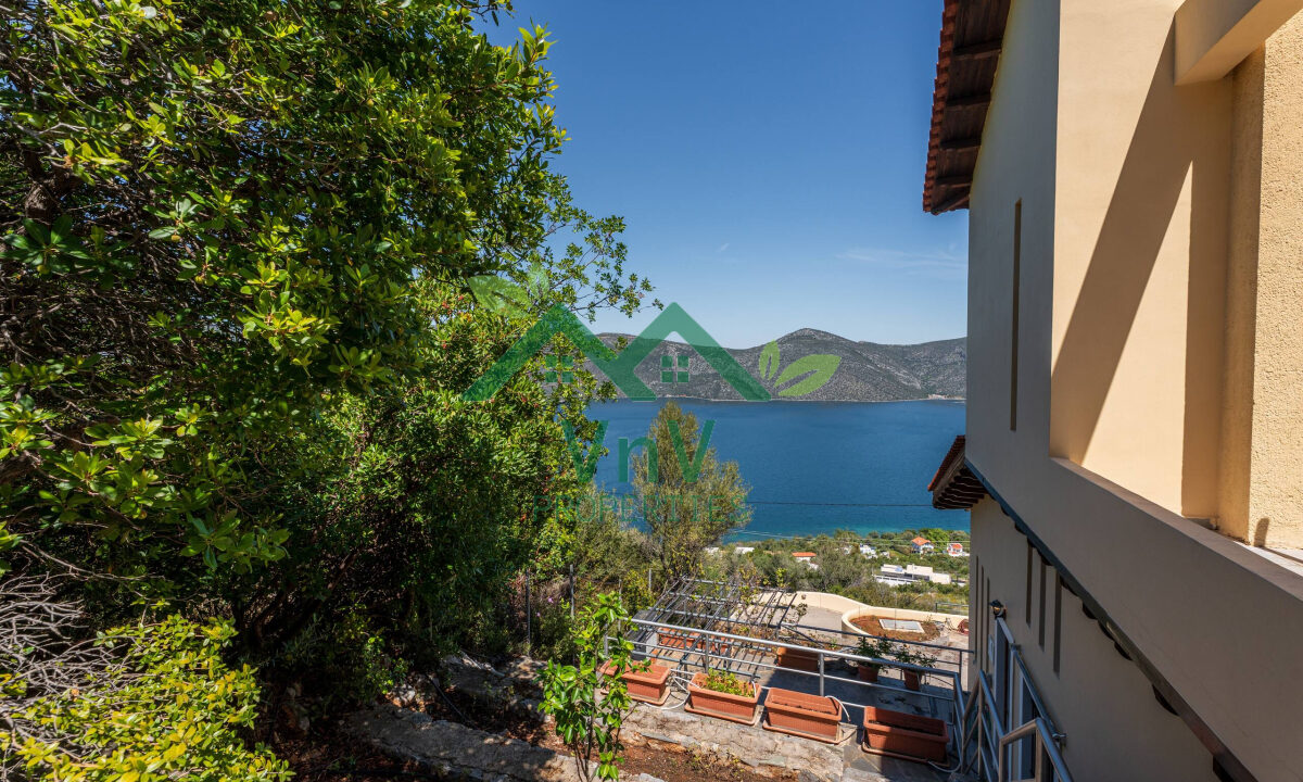 P555605
