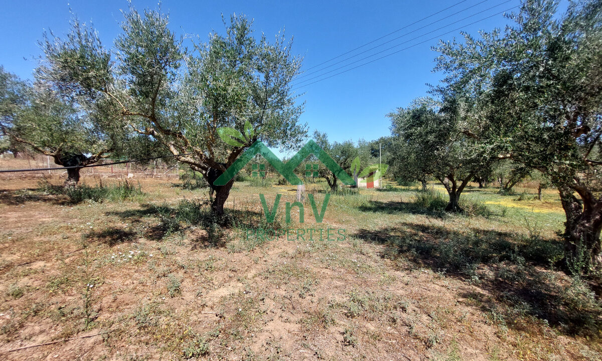 P702049