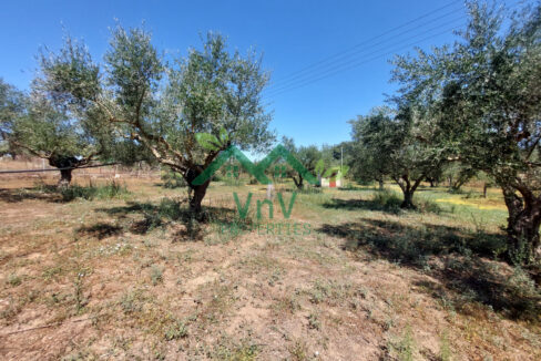 P702049