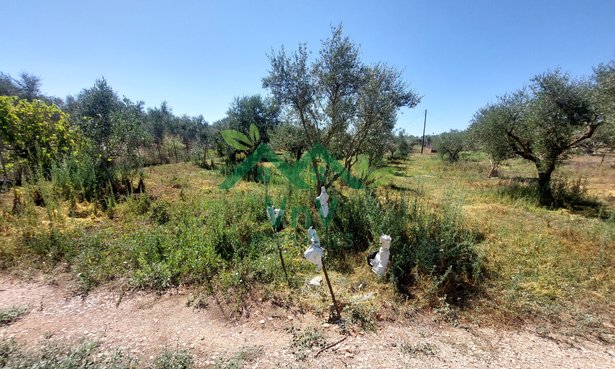P704787