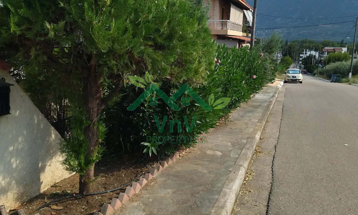 Ενοικιάζεται Μονοκατοικία 270 τ.μ. με 9 υπνοδωμάτια