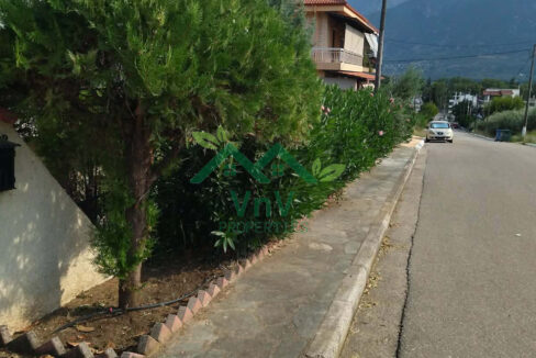 Ενοικιάζεται Μονοκατοικία 270 τ.μ. με 9 υπνοδωμάτια
