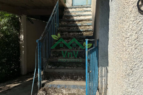 V1025636