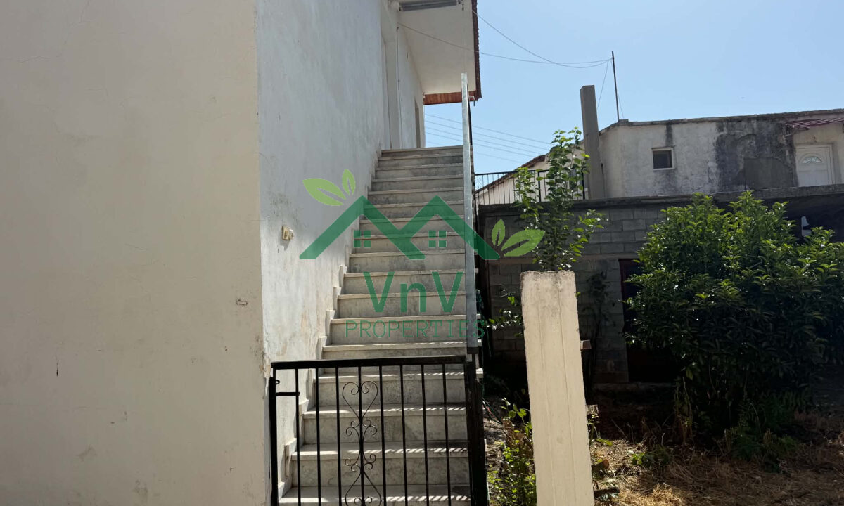 V1028102